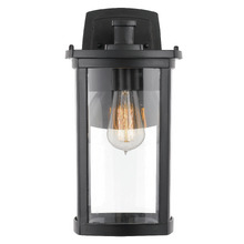 Black Remon Outdoor Wall Light